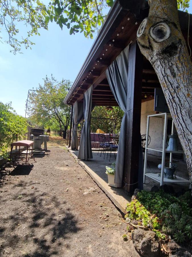 La Casa Di Giulia Villa Bronte Ngoại thất bức ảnh
