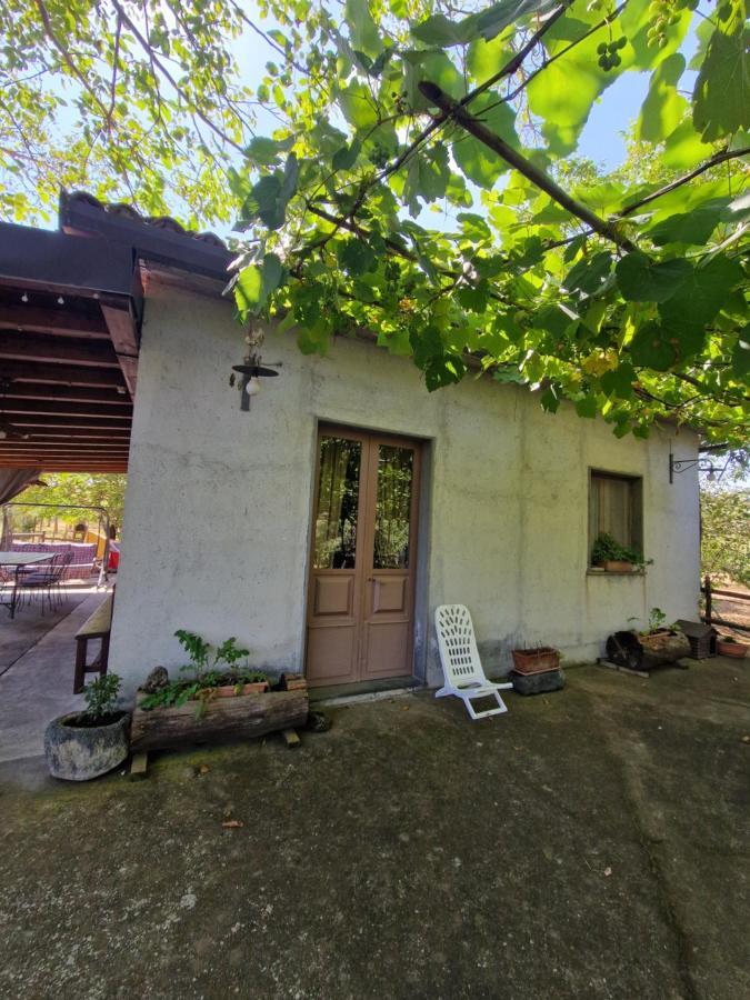 La Casa Di Giulia Villa Bronte Ngoại thất bức ảnh