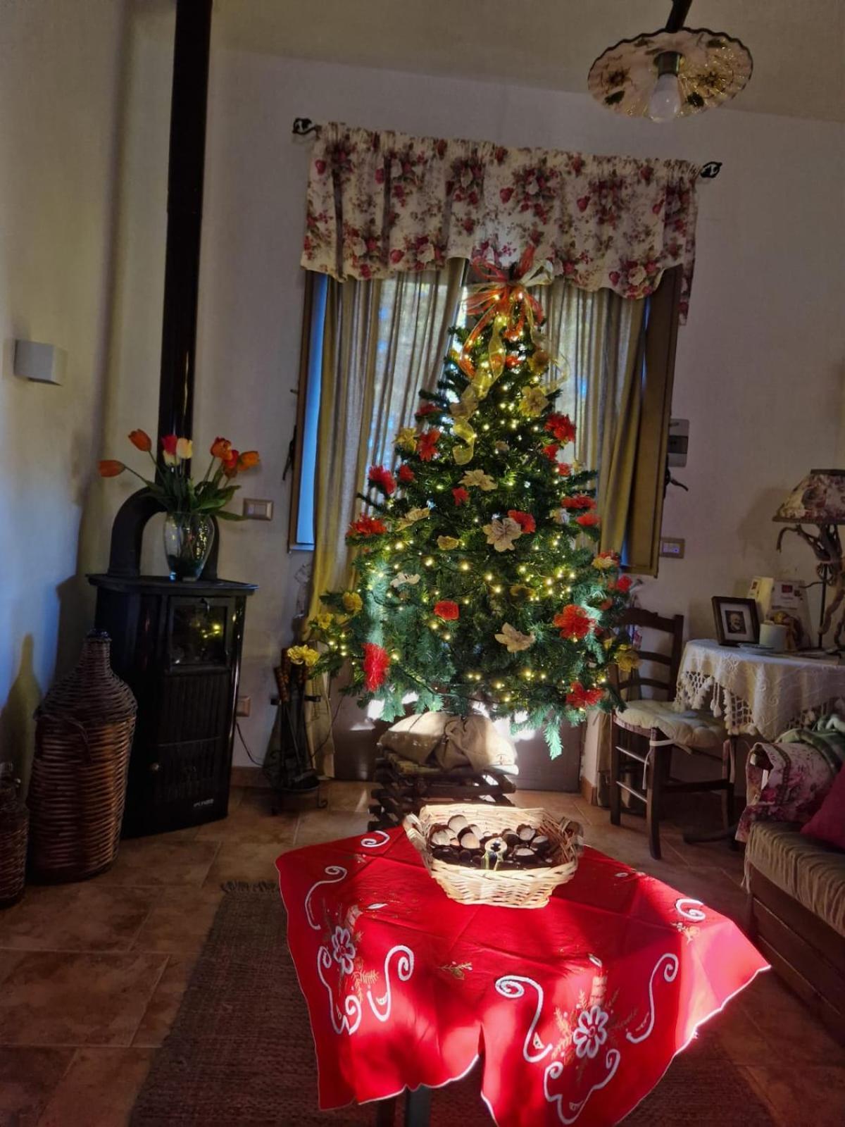 La Casa Di Giulia Villa Bronte Ngoại thất bức ảnh